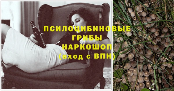 не бодяженный Абаза