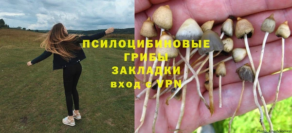 не бодяженный Абаза